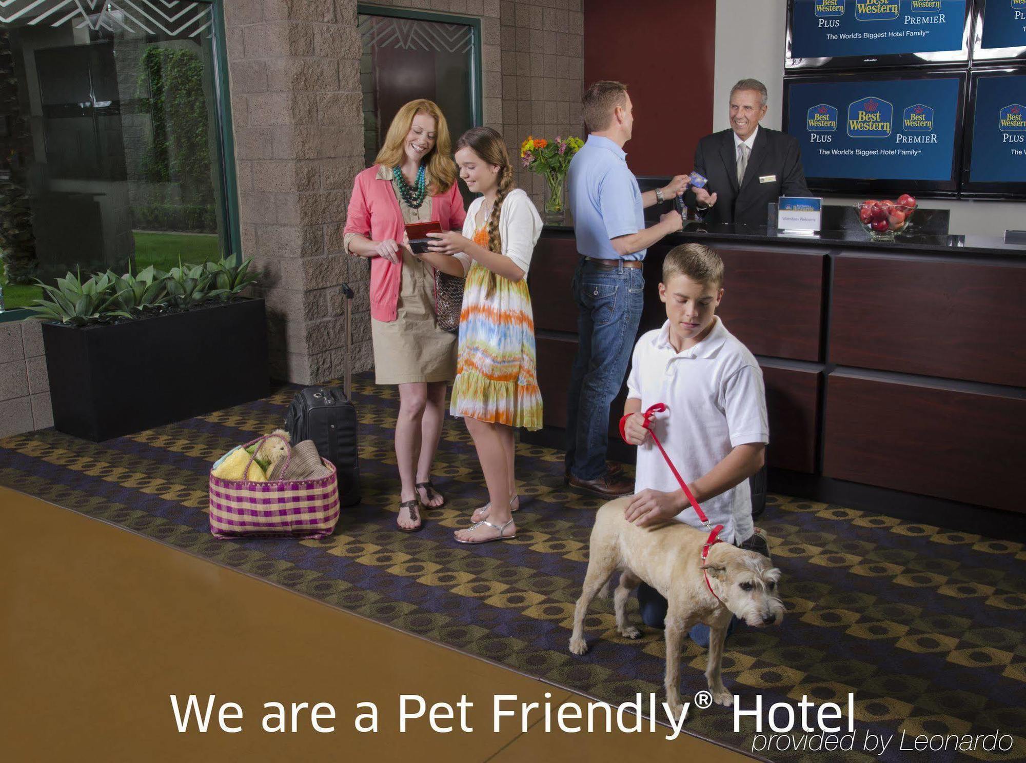 Best Western Plus Finger Lakes Inn & Suites Cortland Exterior foto